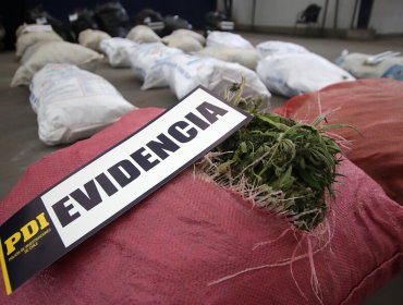 Descubren 82 gramos de marihuana oculta en baño de paso fronterizo en Panguipulli