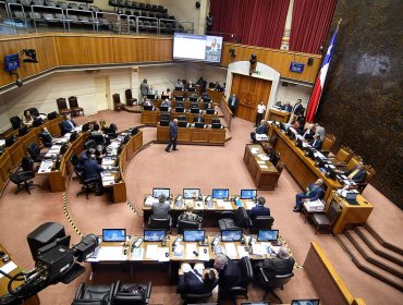 Senado vota la paridad de género y resguardo de infraestructura crítica a cargo de las FF.AA.