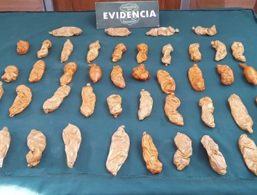 Detienen a banda que ingresaba droga al país en ovoides de preservativos