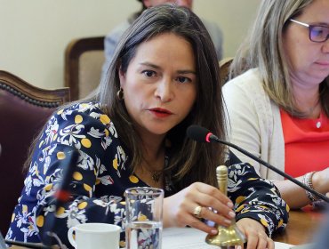 Diputada Pérez acusó al Gobierno de boicotear la reposición del voto obligatorio