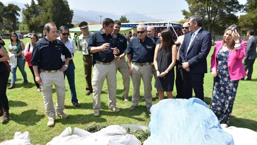 «Plan Cannabis 2020»: En La Cruz, la PDI lanzó programa anti-drogas enfocado entre Coquimbo y Biobío