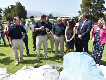 «Plan Cannabis 2020»: En La Cruz, la PDI lanzó programa anti-drogas enfocado entre Coquimbo y Biobío