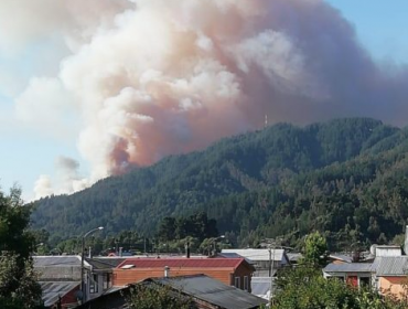 Incendio forestal amenaza viviendas en el cerro Manquimavida de la comuna de Chiguayante