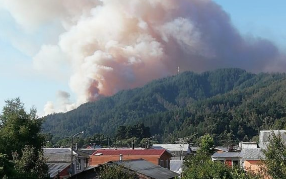 Incendio forestal amenaza viviendas en el cerro Manquimavida de la comuna de Chiguayante