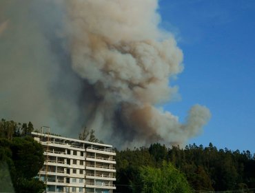 Alerta Roja en Chiguayante por incendio forestal que obligó a evacuar un hogar de ancianos