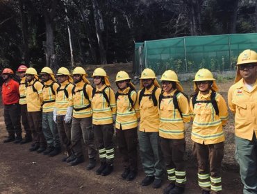 Brigada de Conaf inició labores para proteger a la población, flora y fauna de Juan Fernández