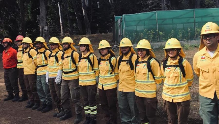 Brigada de Conaf inició labores para proteger a la población, flora y fauna de Juan Fernández