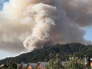 Incendios forestales consumen más de 500 hectáreas en las regiones del Biobío y La Araucanía