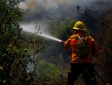 Declaran Alerta Roja para la comuna de Concepción por incendio forestal cercano a sectores poblados