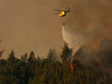 Declaran Alerta Roja para la comuna de Ercilla por incendio forestal cercano a sectores poblados