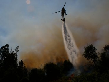 Incendios forestales en la región del Biobío han consumido más de 2.400 hectáreas