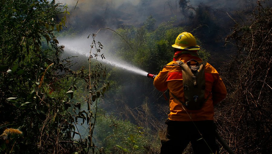 Declaran Alerta Roja para la comuna de Concepción por incendio forestal cercano a sectores poblados