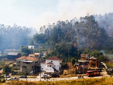 13 incendios forestales se mantienen activos en el país: los más relevantes se registran en el Biobío