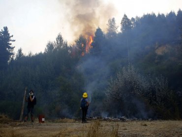 Alerta Roja para la comuna de Perquenco por incendio forestal cercano a lugares habitados