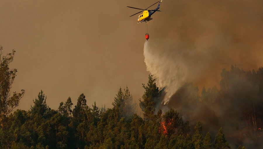 Declaran Alerta Roja para la comuna de Ercilla por incendio forestal cercano a sectores poblados