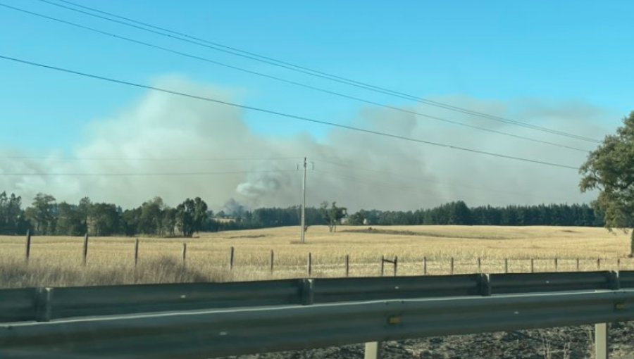 Incendio en Perquenco fue contenido y Onemi La Araucanía bajó Alerta Roja a Amarilla