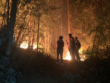 Conaf: De los 59 incendios forestales en el país, 19 permanecen activos y 34 controlados