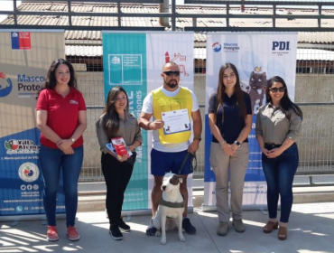 Realizan curso básico de adiestramiento canino a razas potencialmente peligrosas en Villa Alemana