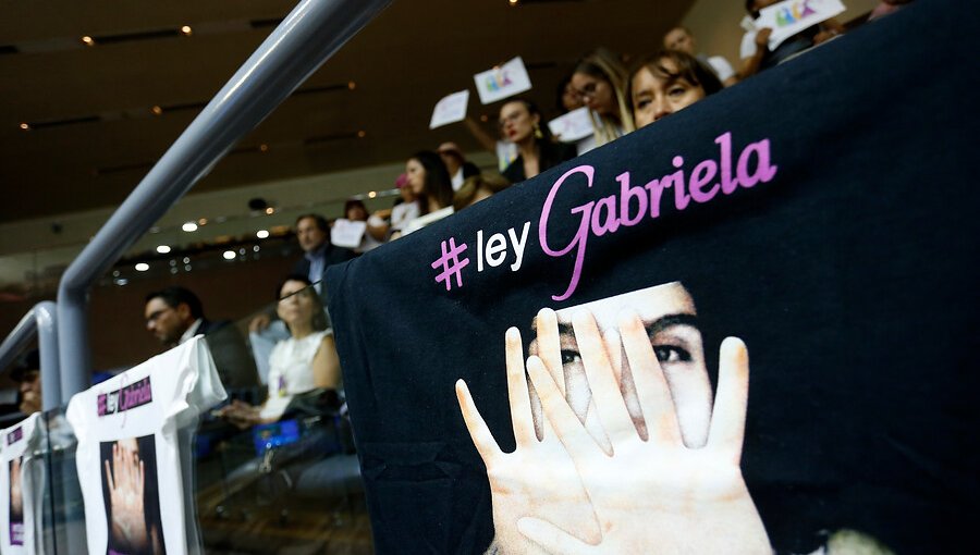 Senado aprueba y despacha a Cámara la "Ley Gabriela" que amplía calificación del femicidio