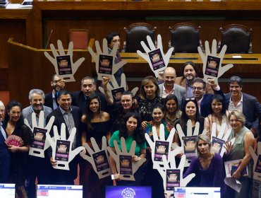 Ley Gabriela: Cámara de Diputados despacha a ley proyecto que amplía tipificación del delito de femicidio