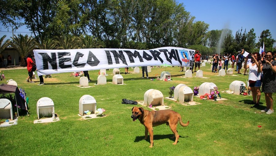 Con incidentes y barricadas culminó funeral del barrista colocolino Jorge Mora