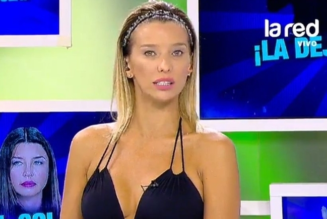 "Muchos mienten a destajo": El crudo análisis de Claudia Schmitd sobre la TV chilena