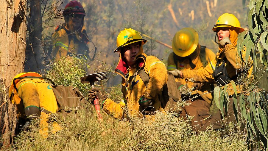 Activo se mantiene incendio forestal en Traiguén: ha consumido 665 hectáreas