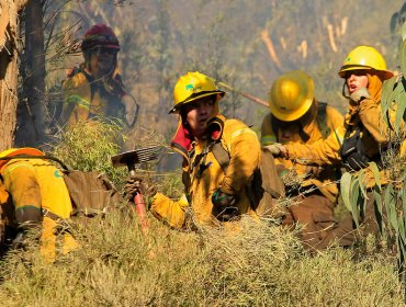 Activo se mantiene incendio forestal en Traiguén: ha consumido 665 hectáreas