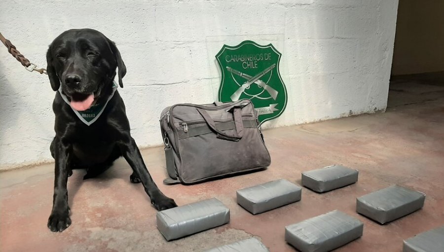 Cinco extranjeros fueron detenidos trasladando más de 30 kilos de droga a Santiago