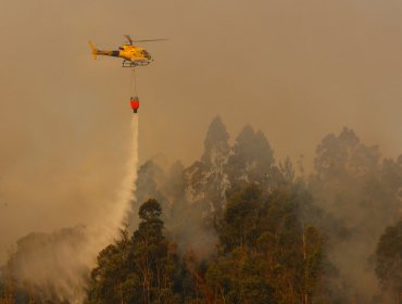 Declaran Alerta Temprana Preventiva para la región Metropolitana por amenaza de incendio forestal