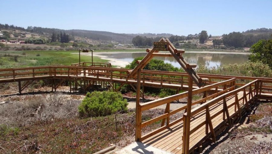 El Tabo: Conaf inauguró sendero inclusivo en el Santuario de la Naturaleza Laguna El Peral