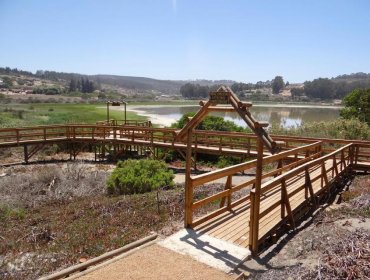 El Tabo: Conaf inauguró sendero inclusivo en el Santuario de la Naturaleza Laguna El Peral