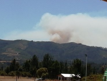 Decretan Alerta Amarilla para la región de Ñuble por incendios forestales