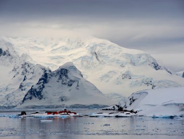 Greenpeace por temperatura récord registrada en la Antártida: "Nunca hizo tanto calor"