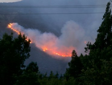 Declaran Alerta Roja para la comuna de Curarrehue por incendios forestales