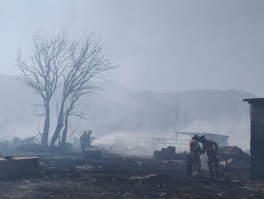 Incendio forestal consume seis viviendas y deja sin vida a unos 100 animales en San Felipe