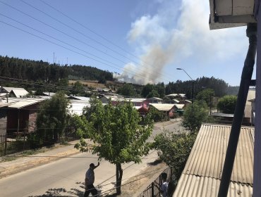 Incendios forestales en Galvarino afectan cerca de 500 hectáreas de vegetación