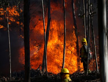 Declaran Alerta Amarilla para la región de La Araucanía por incendios forestales