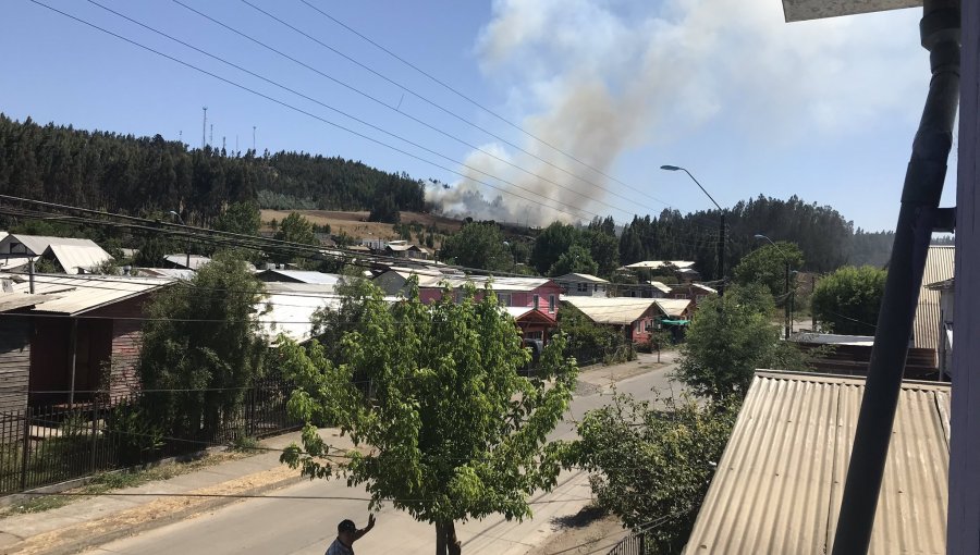 Incendios forestales en Galvarino afectan cerca de 500 hectáreas de vegetación