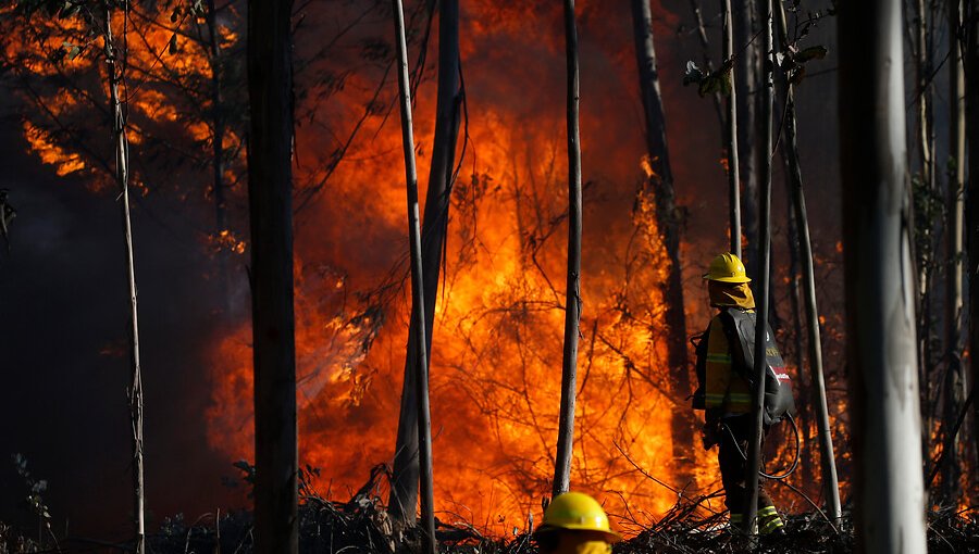 Declaran Alerta Amarilla para la región de La Araucanía por incendios forestales