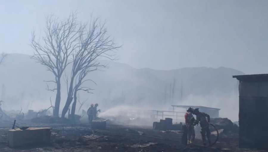 Incendio forestal consume seis viviendas y deja sin vida a unos 100 animales en San Felipe