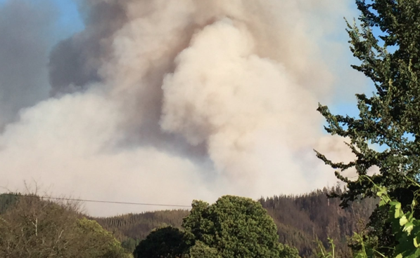 Decretan Alerta Amarilla para Huaiqui por incendio forestal que ha consumido 280 hectáreas