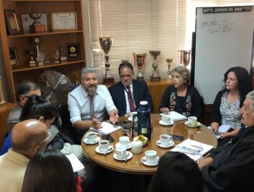 Futuro de los coches victoria en Viña del Mar: comisión viajará a Argentina a conocer experiencia