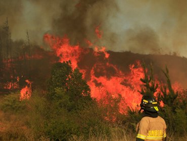 13 incendios forestales se encuentran activos en el país: La Araucanía es la más afectada