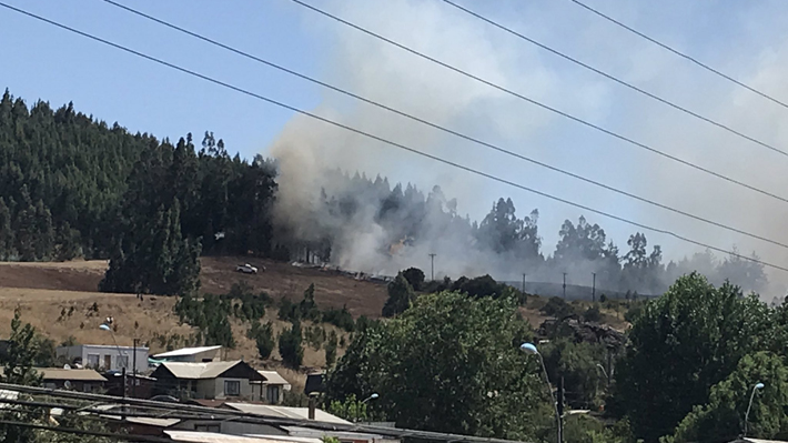 14 incendios forestales se encuentran activos en el país: La Araucanía es la más afectada