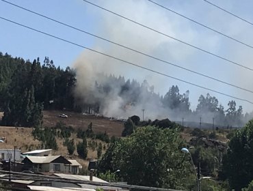 14 incendios forestales se encuentran activos en el país: La Araucanía es la más afectada