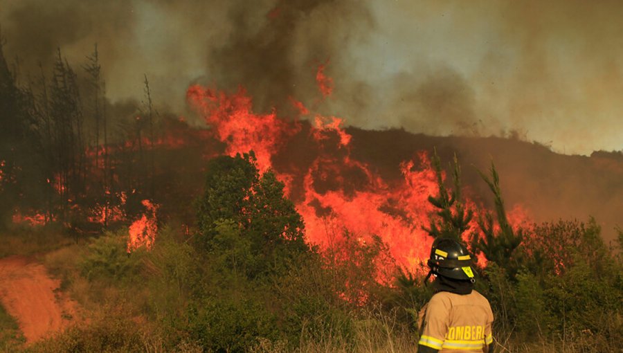 13 incendios forestales se encuentran activos en el país: La Araucanía es la más afectada