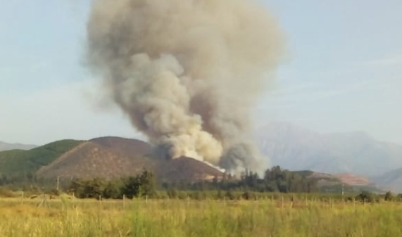 Declaran Alerta Roja para la comuna de Hijuelas por incendio forestal cercano a sectores habitados