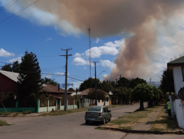 Declaran Alerta Roja para la comuna de Renaico por incendio forestal cercano a sectores habitados