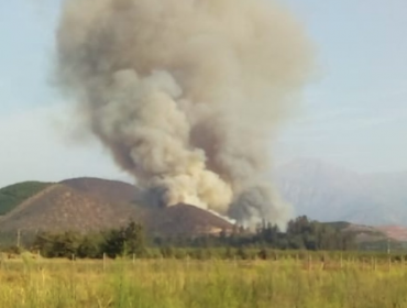 Declaran Alerta Roja para la comuna de Hijuelas por incendio forestal cercano a sectores habitados